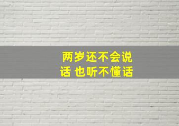 两岁还不会说话 也听不懂话